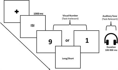 Number-time interaction: Search for a common magnitude system in a cross-modal setting